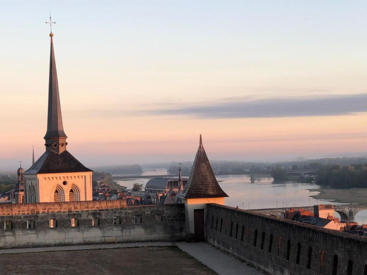Bulles De Loire Bed & Breakfast Saumur Exterior foto